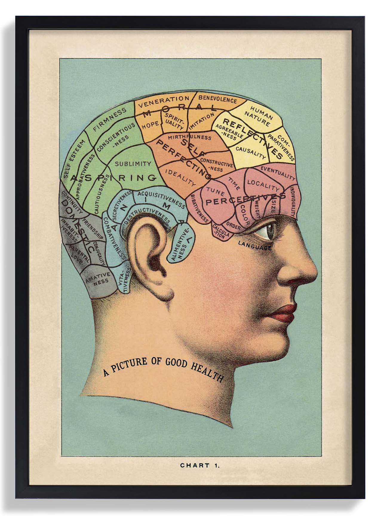 A picture of the good health