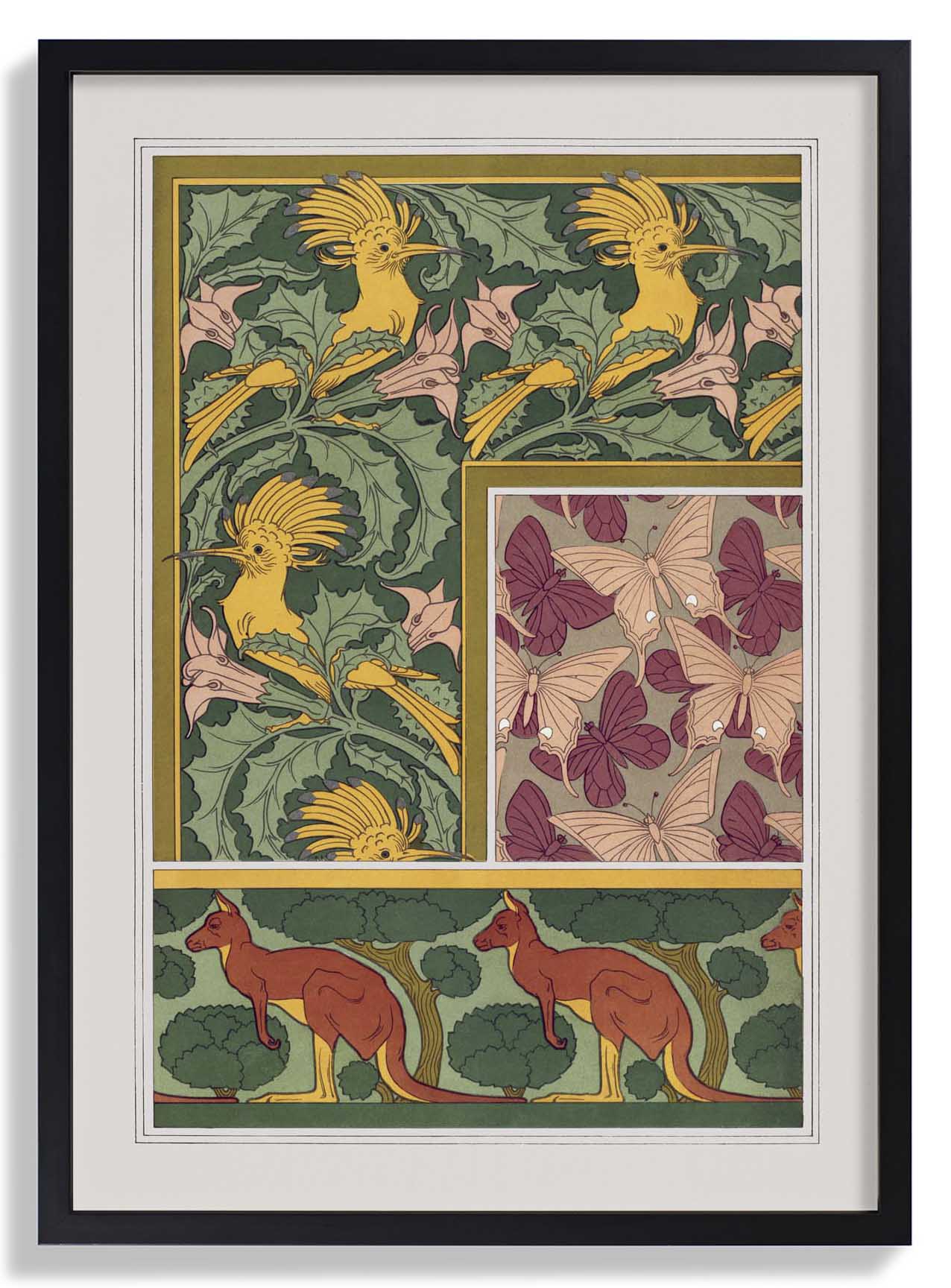 Butterflies, Birds and Kangaroos