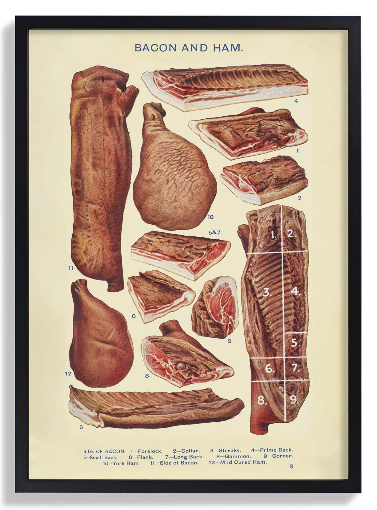 Bacon & Ham from Mrs. Beeton's Household Management