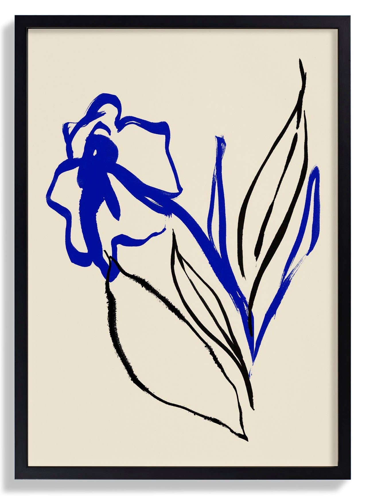 Blue and Black lines