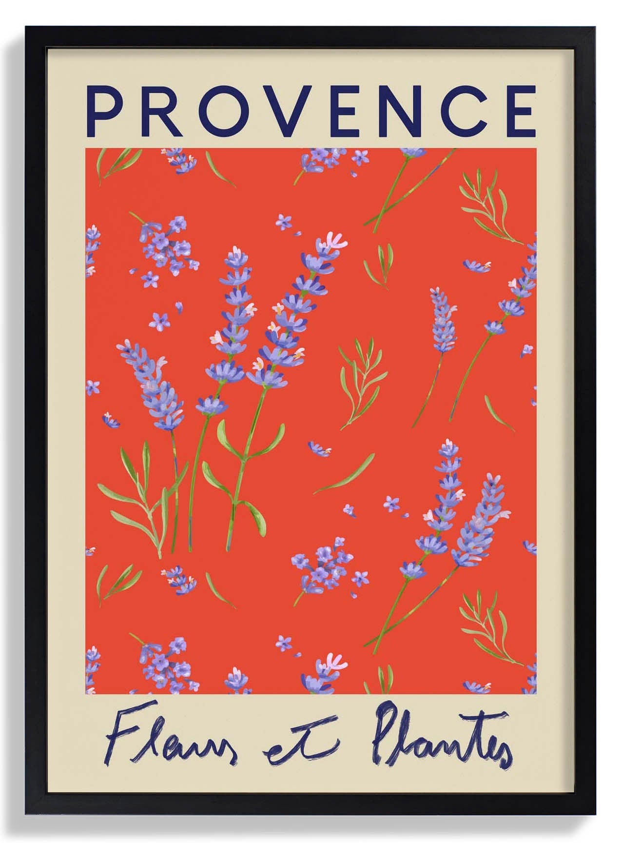 Provence Flower Market