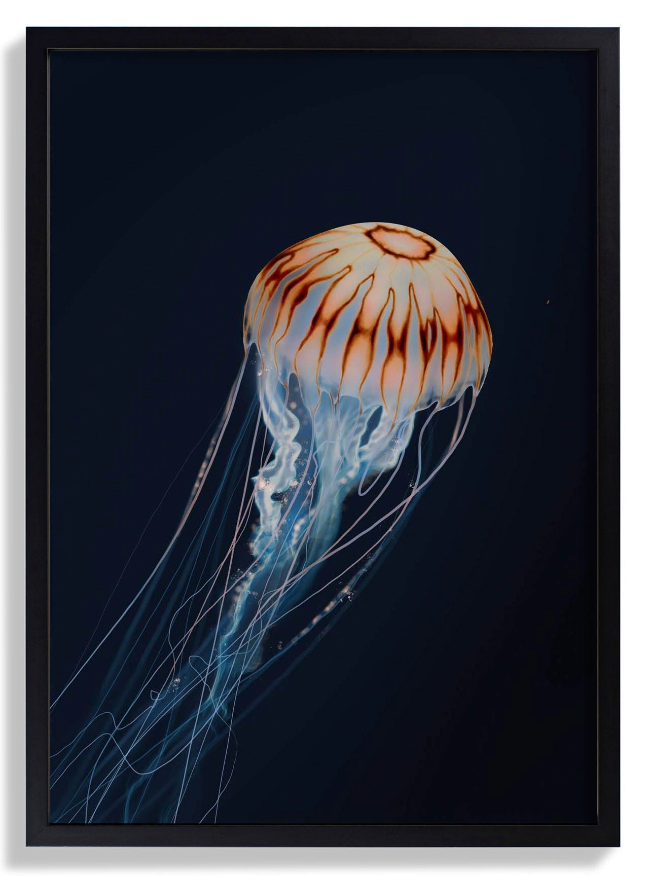 Sparkling Horizon Jellyfish by Julia Charlott