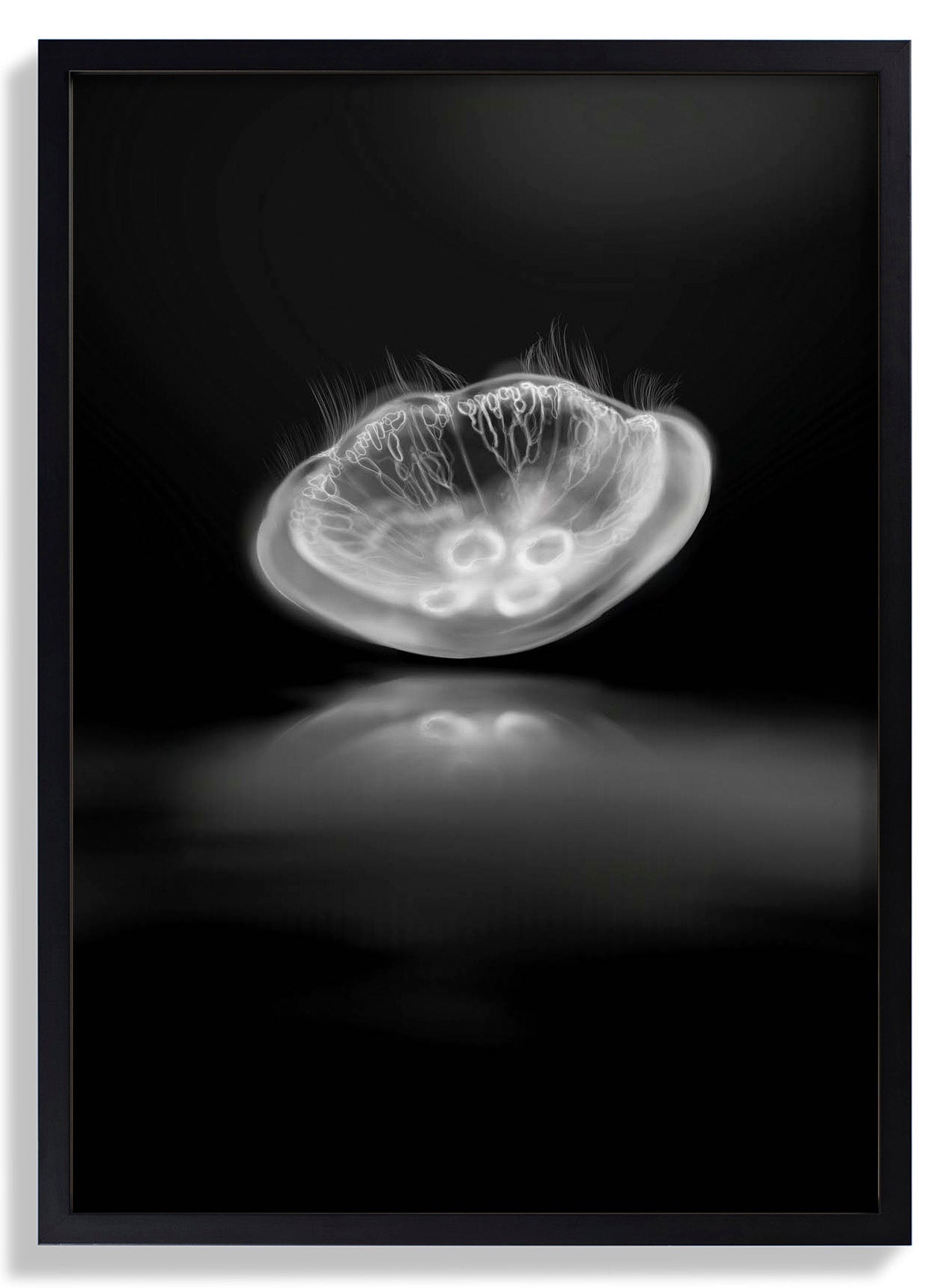 Monochrome Mirror by Julia Charlott