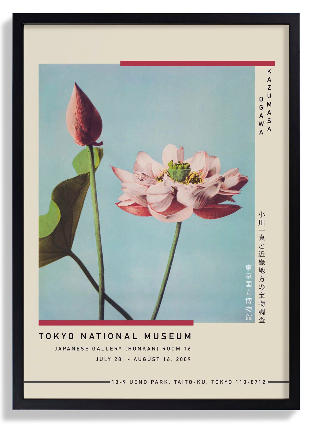 Lotus Flower by Kazumasa Exhibition