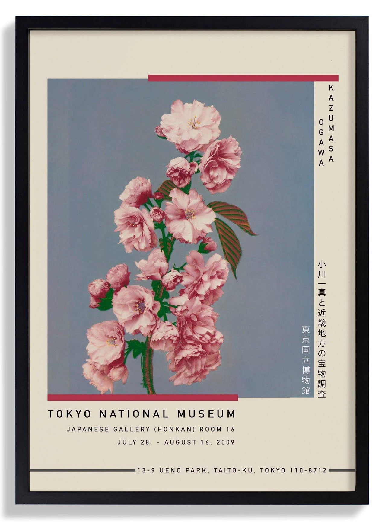 Cherry Blossom by Kazumasa Exhibition