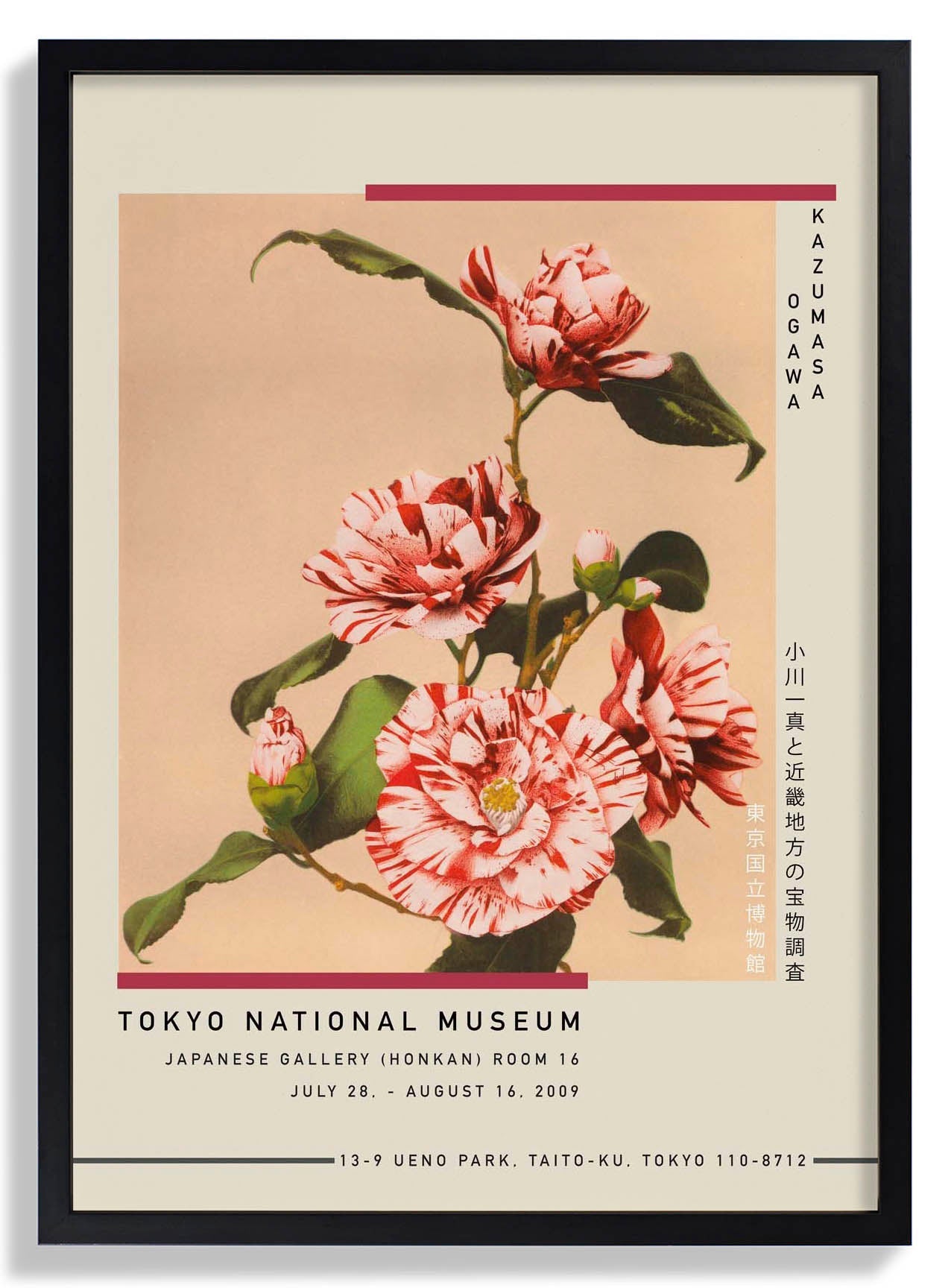 Striped Camellias by Kazumasa Exhibition