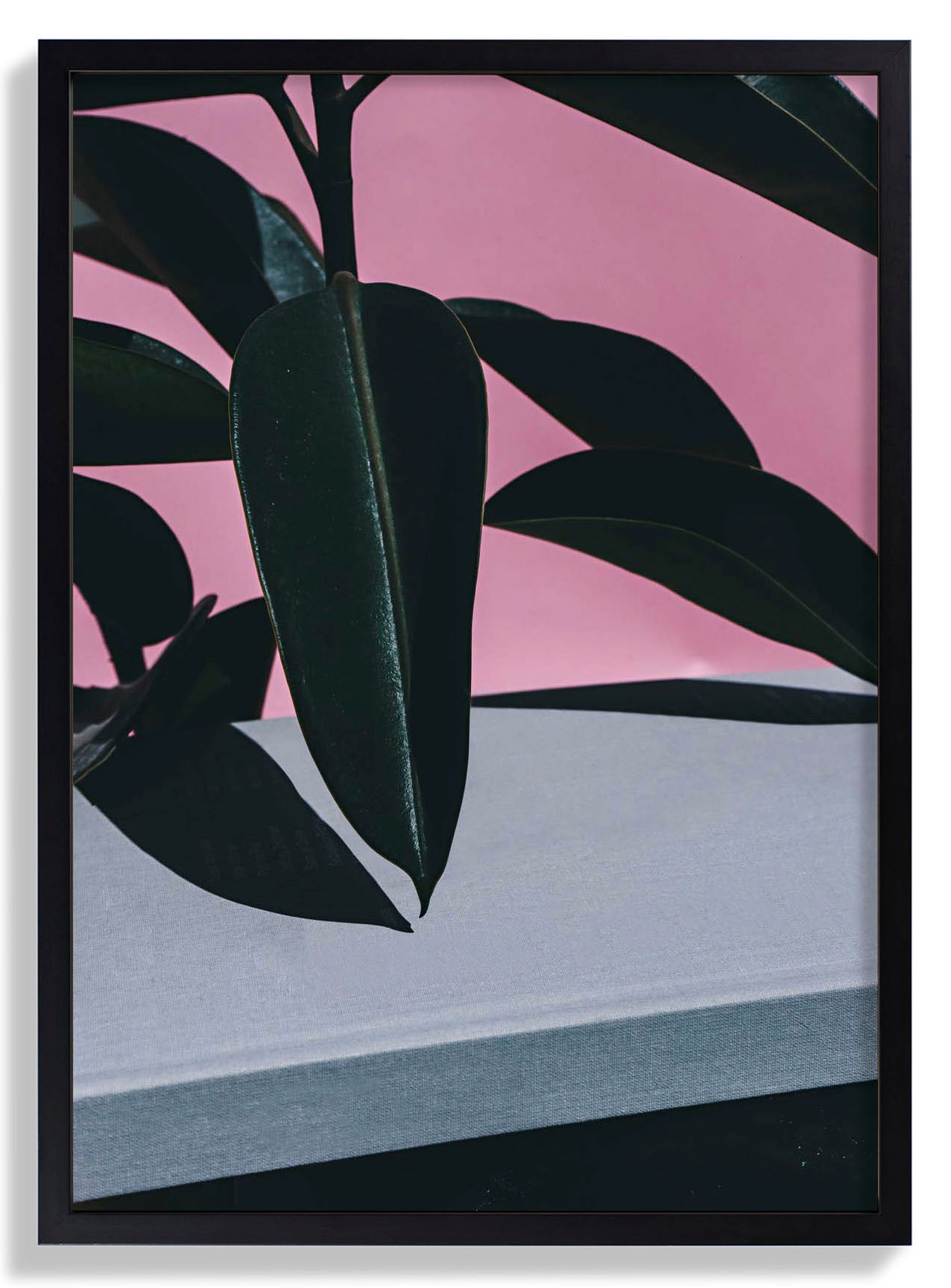 Close Up of Indoor Rubber