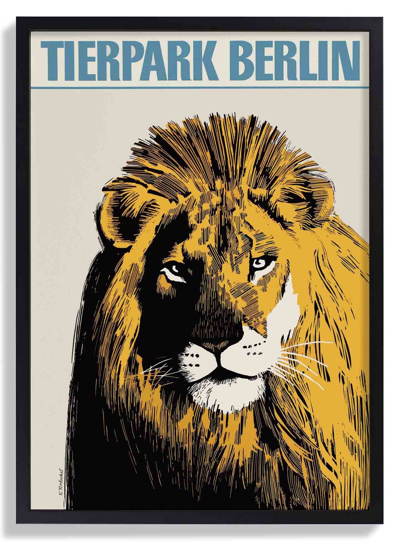 Zoo Tierpark Berlin Lion