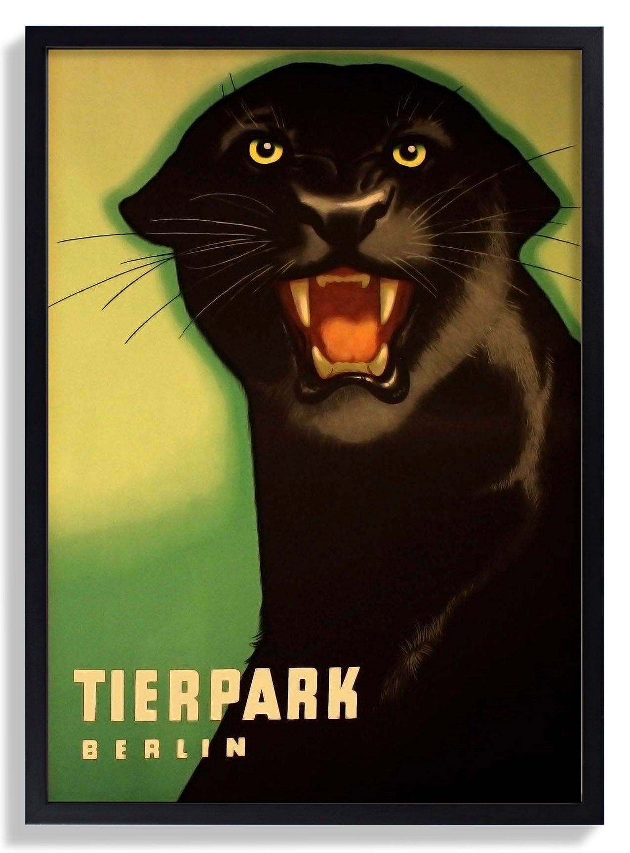 Zoo Tierpark Berlin Panther