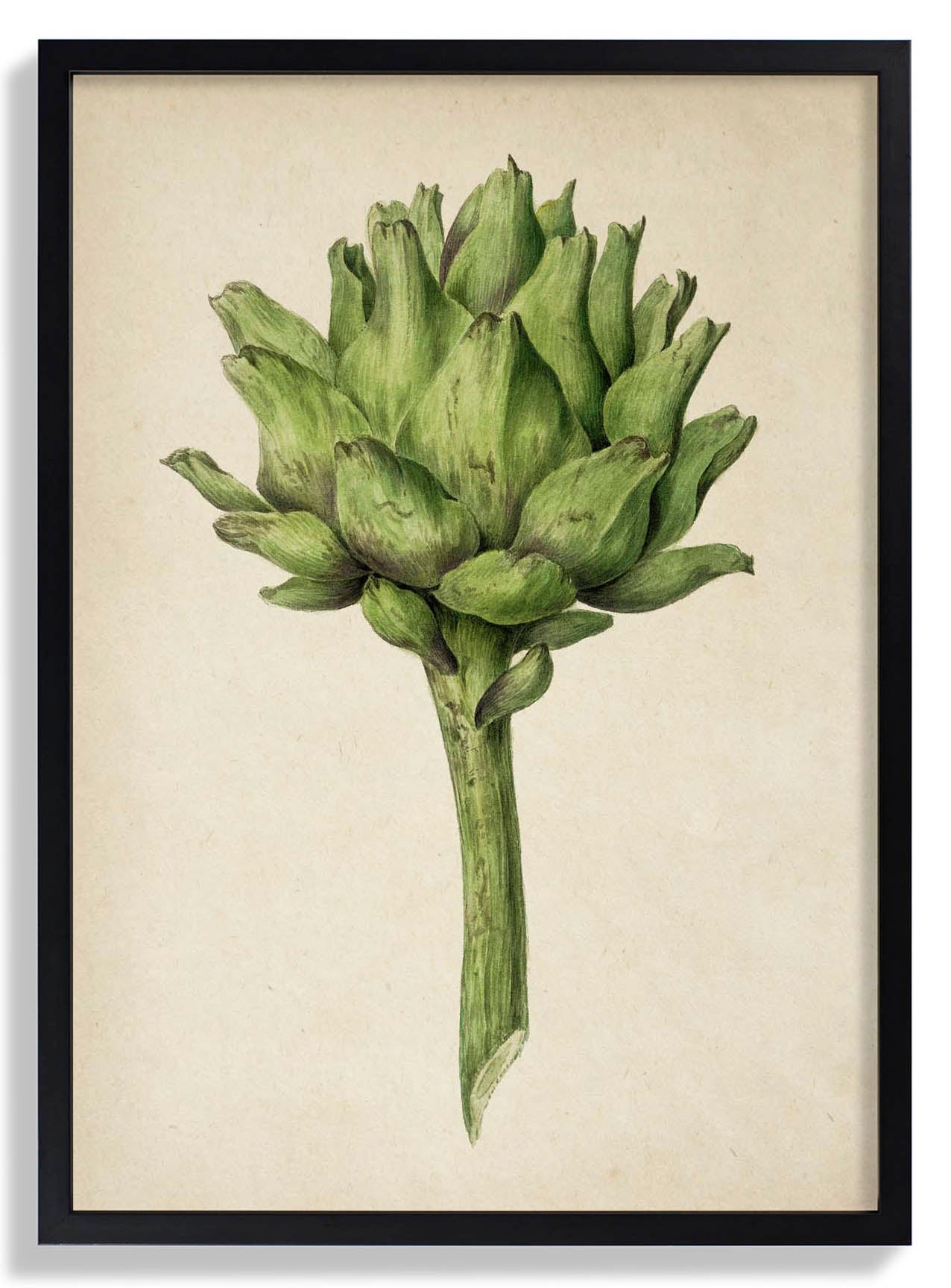 Antique Artichoke
