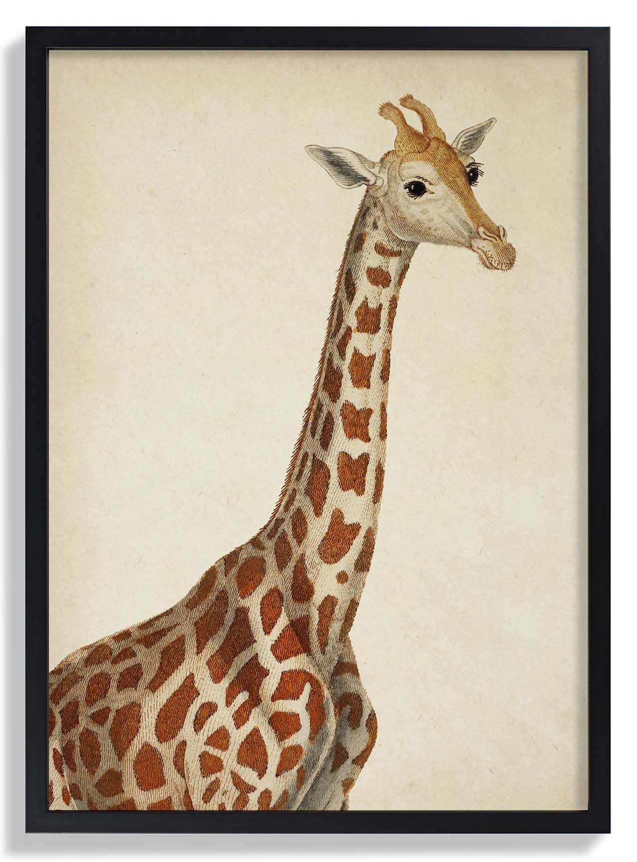 Antique Giraffe