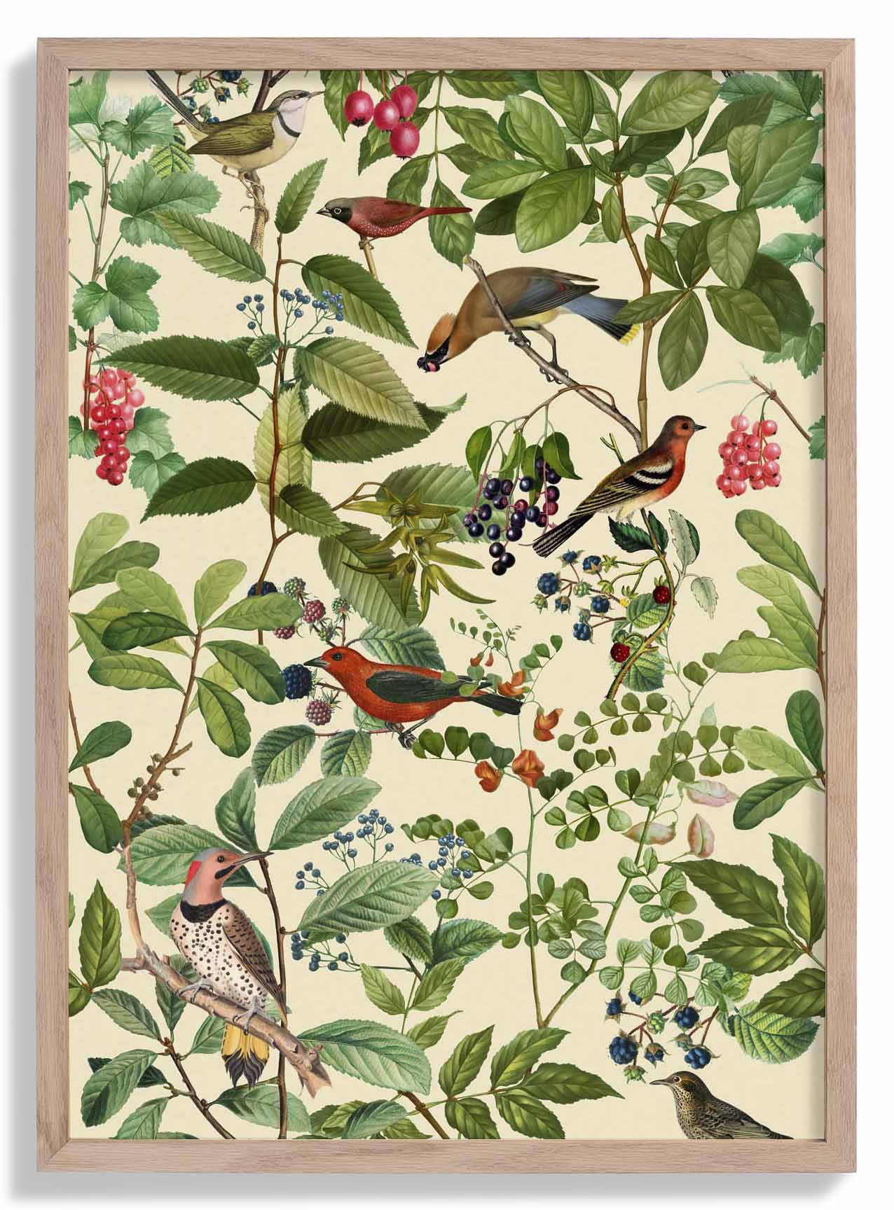 Birds And Berries by Andrea Haase