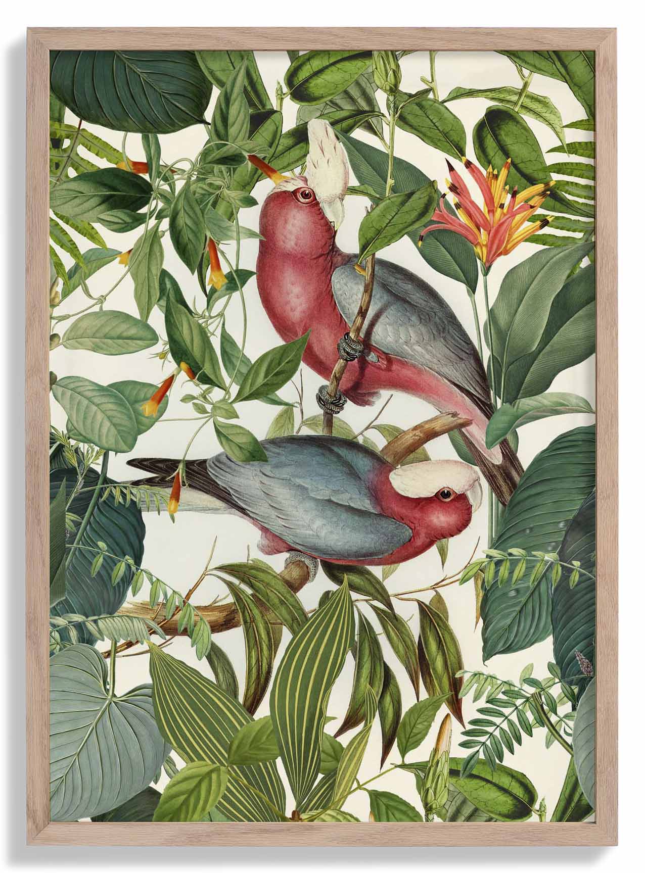 Tropical Parakeets by Andrea Haase