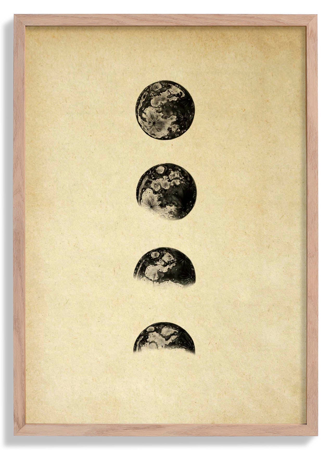 Moon Phases Sepia Astronomical Poster