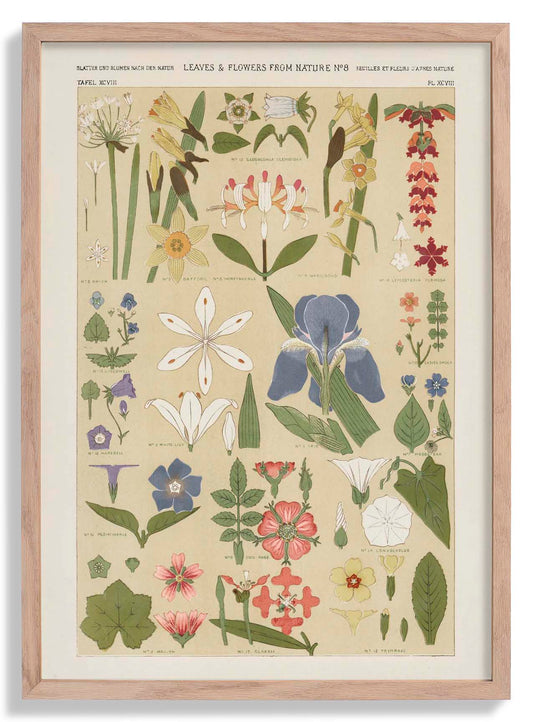 Leaves & Flowers Nr 8 by Owen Jones