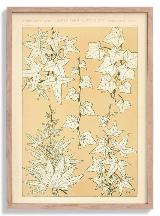 Leaves from Nature Nr 3 by Owen Jones