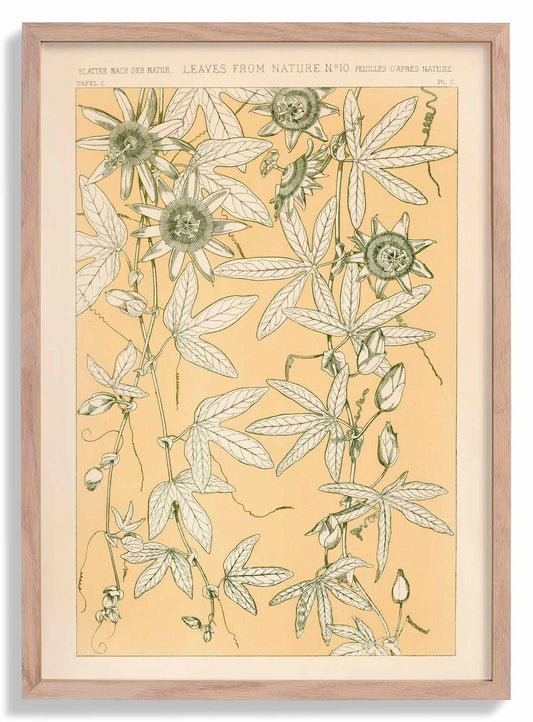 Leaves from Nature Nr 10 by Owen Jones