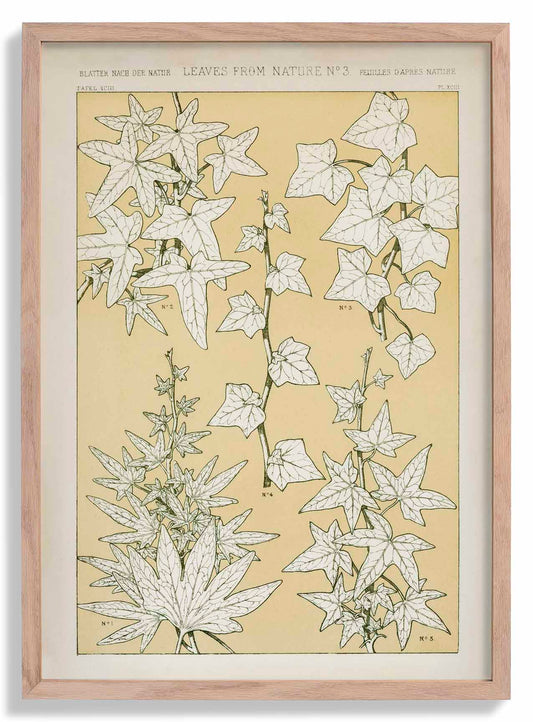 Leaves from Nature Nr 3 B by Owen Jones