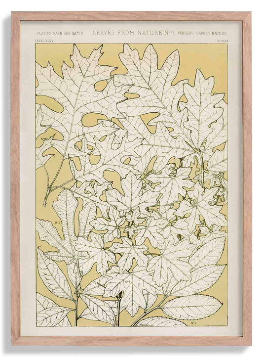 Leaves from Nature Nr 4 by Owen Jones