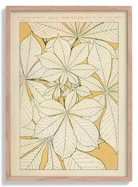 Leaves from Nature Nr 1 by Owen Jones