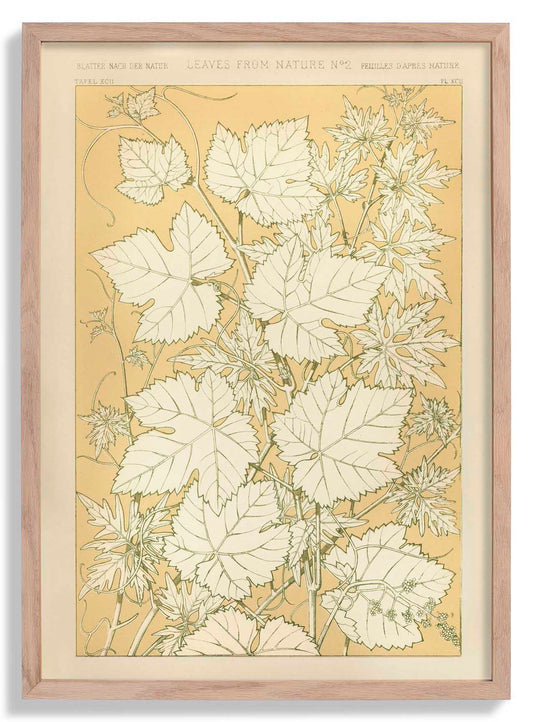 Leaves from Nature Nr 2 by Owen Jones