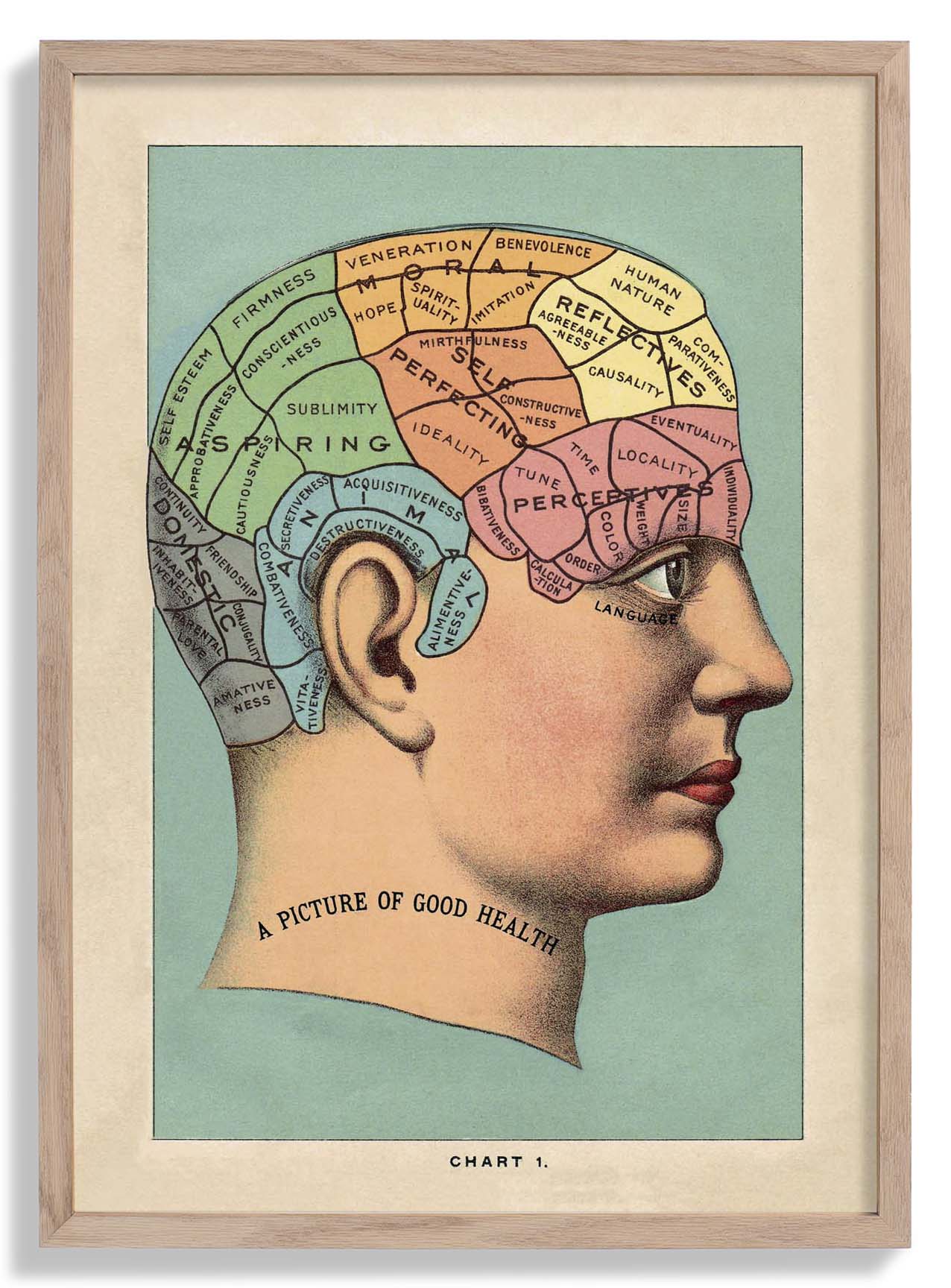 A picture of the good health Vintage Poster