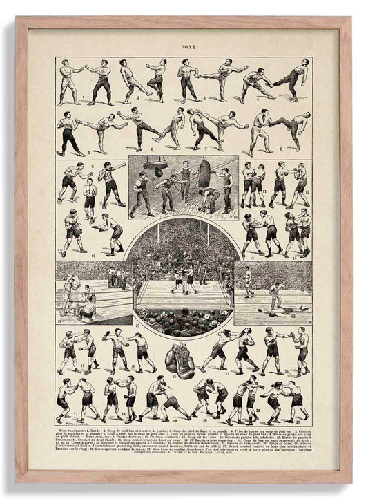 Vintage Boxe Chart Larousse - Antique French Poster perfect for your room decor!