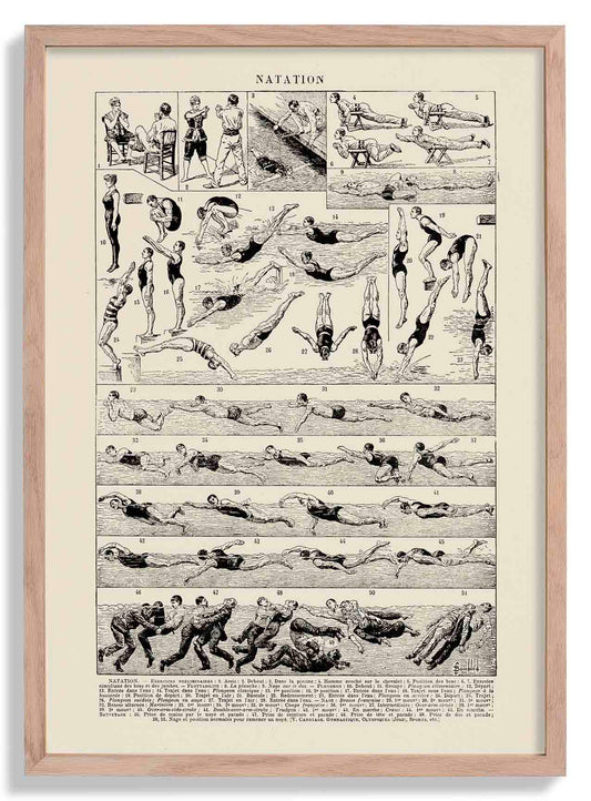 Swim French Chart - Vintage Sport Poster for Bathroom decor