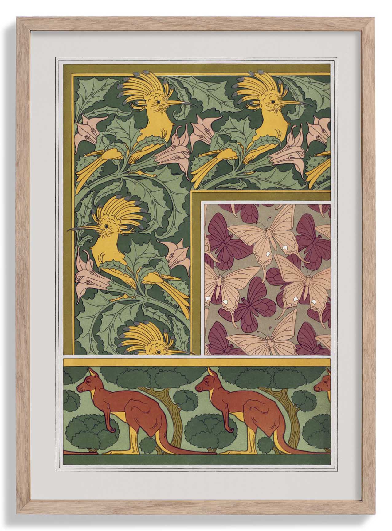 Butterflies, Birds and Kangaroos Poster