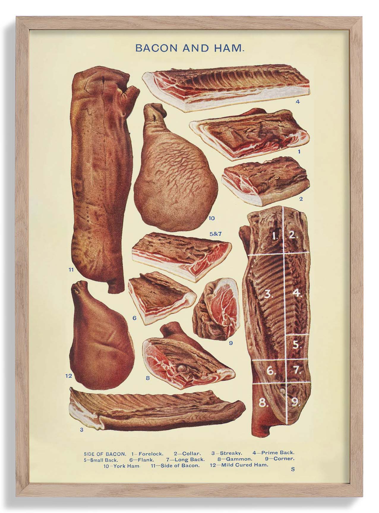 Bacon & Ham from Mrs. Beeton's Household Management