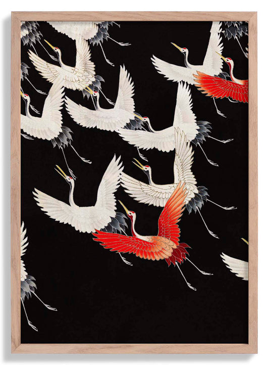 White Cranes and Red one flying Kimono Poster