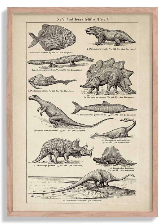 Antique Dinosaurs and Fossils Poster