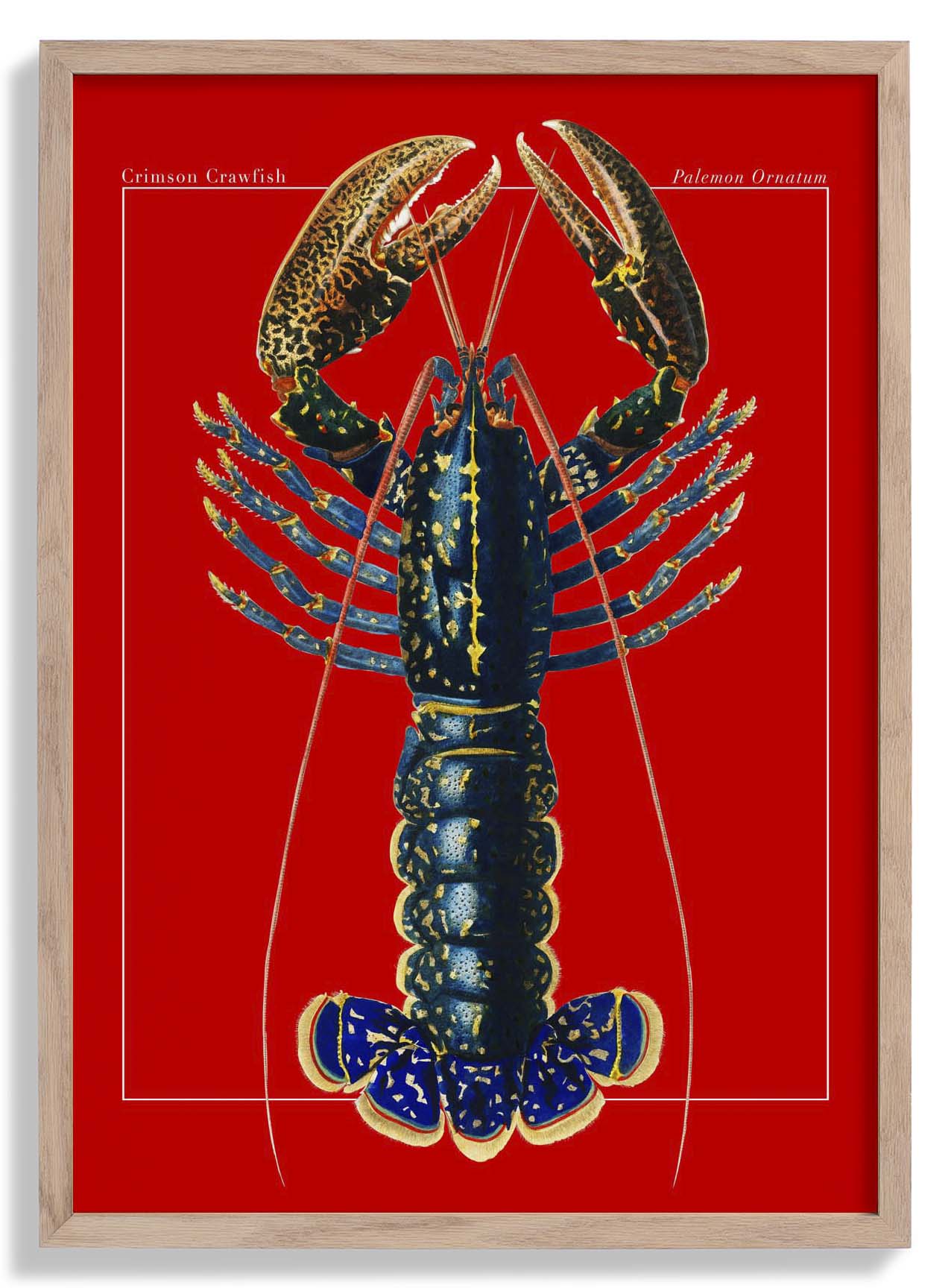 Red Lobster Poster