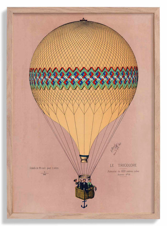 Balloon Tricolore Pink Poster