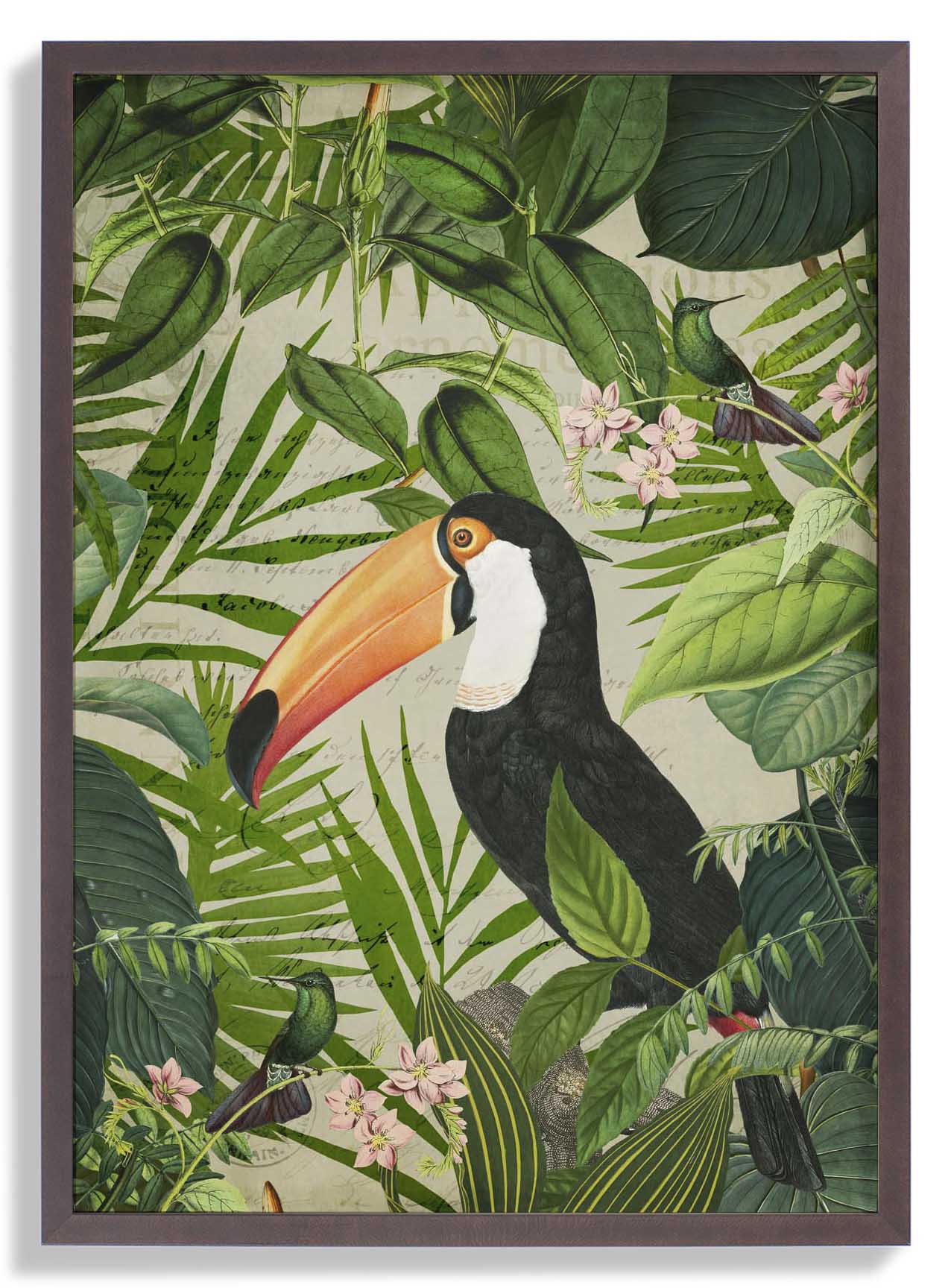 Jungle Toucan by Andrea Haase