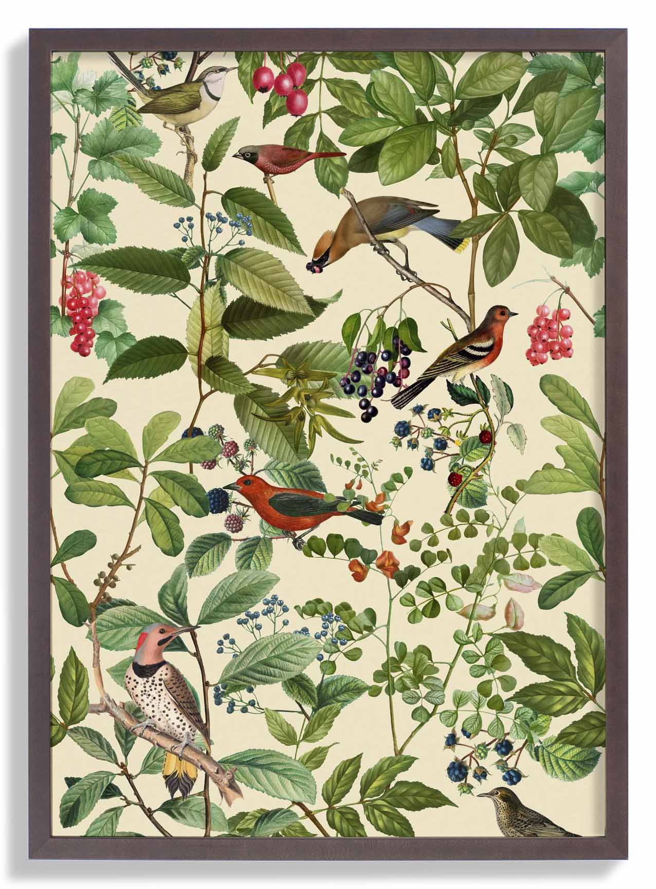 Birds And Berries by Andrea Haase