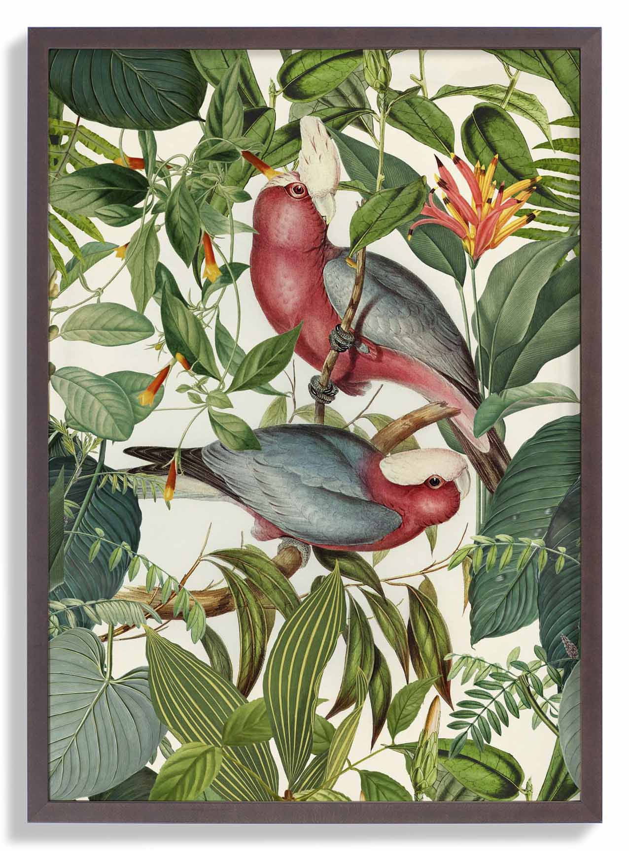 Tropische Sittiche von Andrea Haase