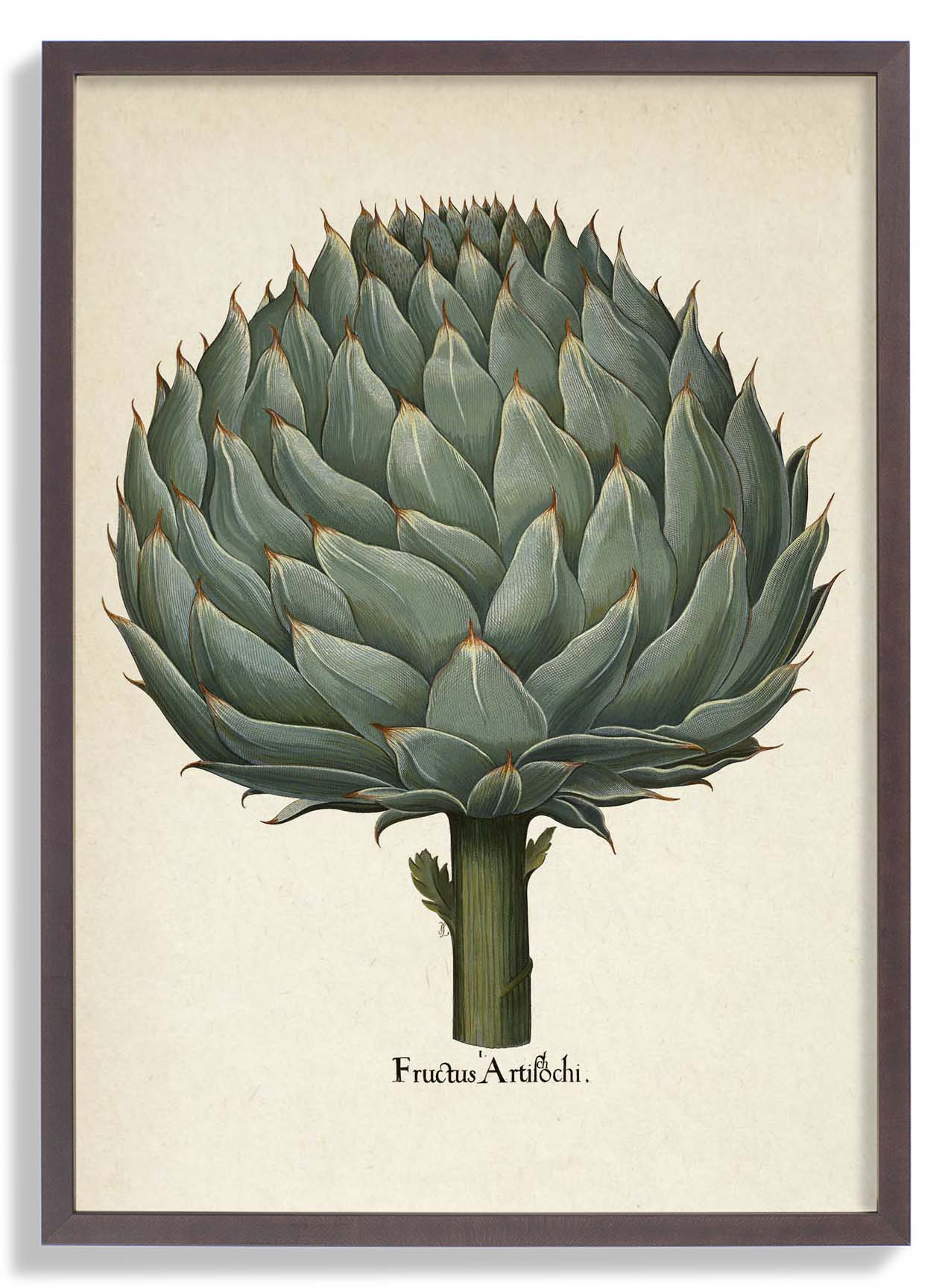Artichoke