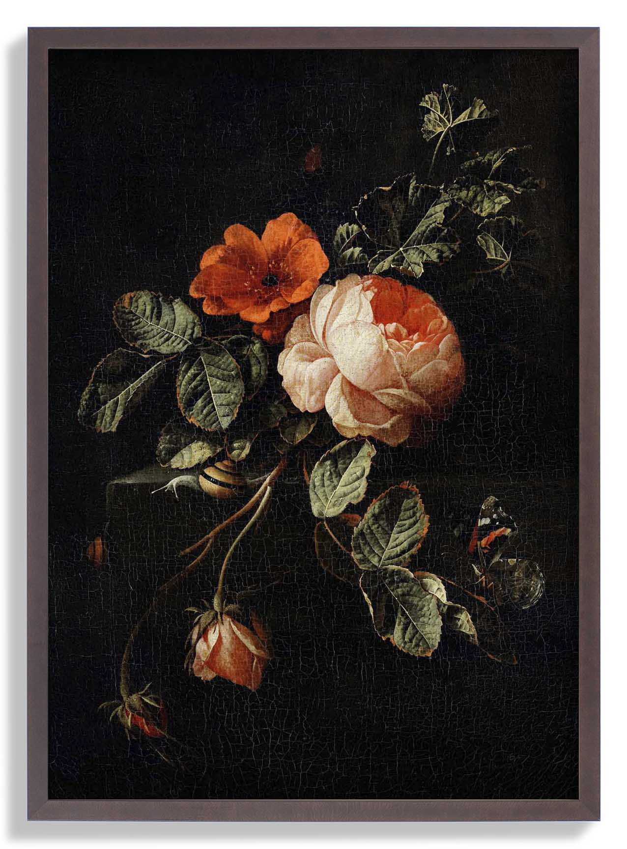 Rosen von van den Broeck Botanisches Poster