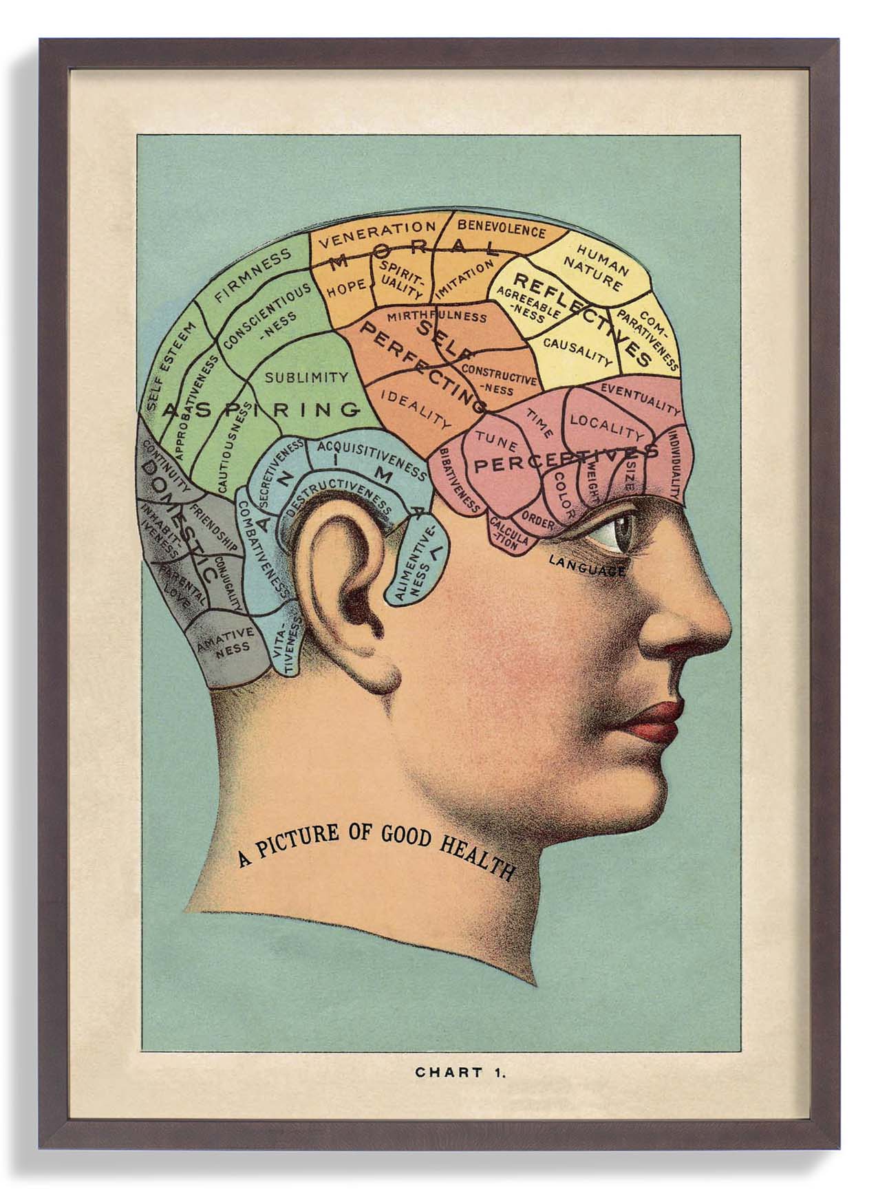 A picture of the good health