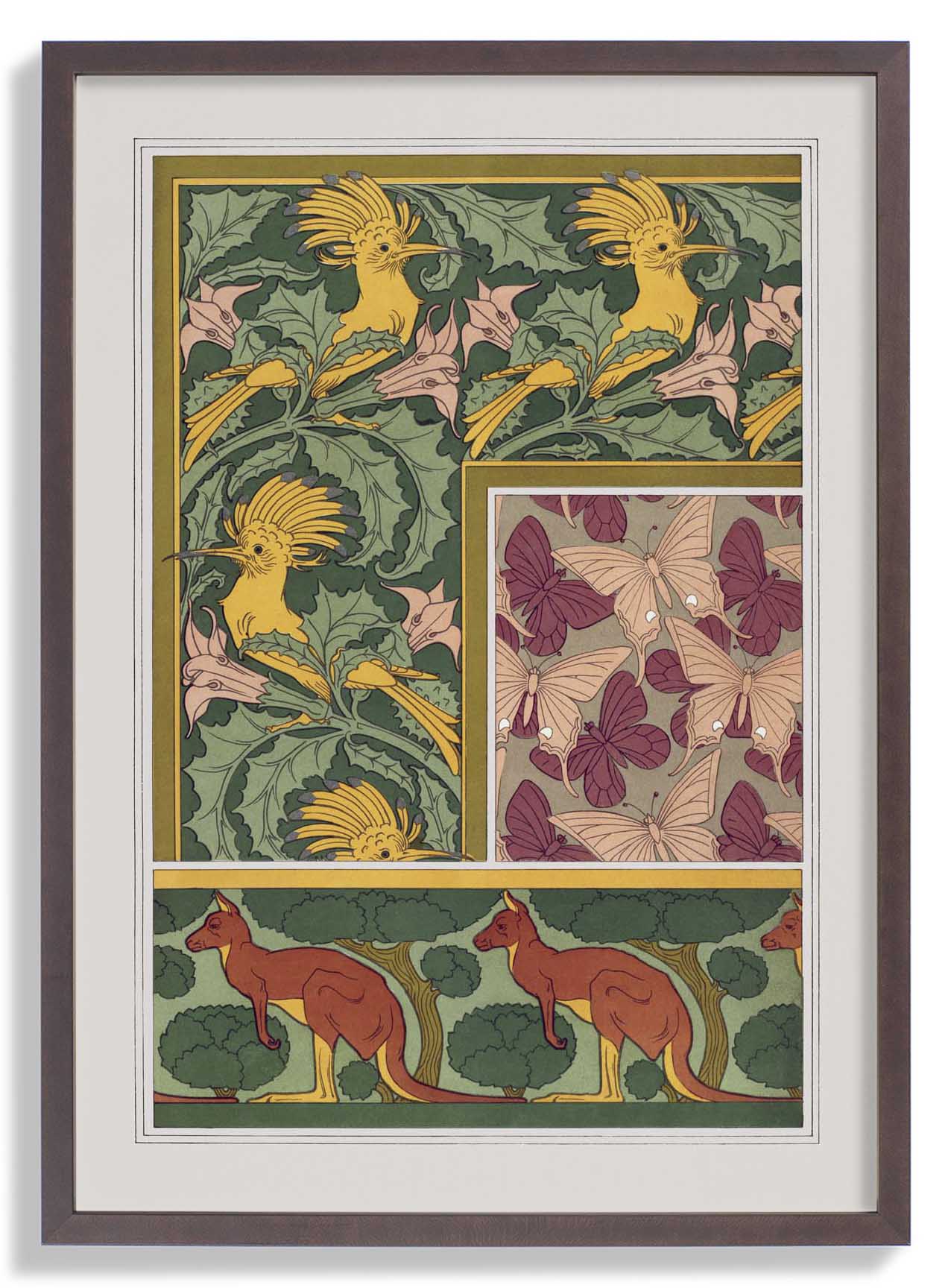 Butterflies, Birds and Kangaroos