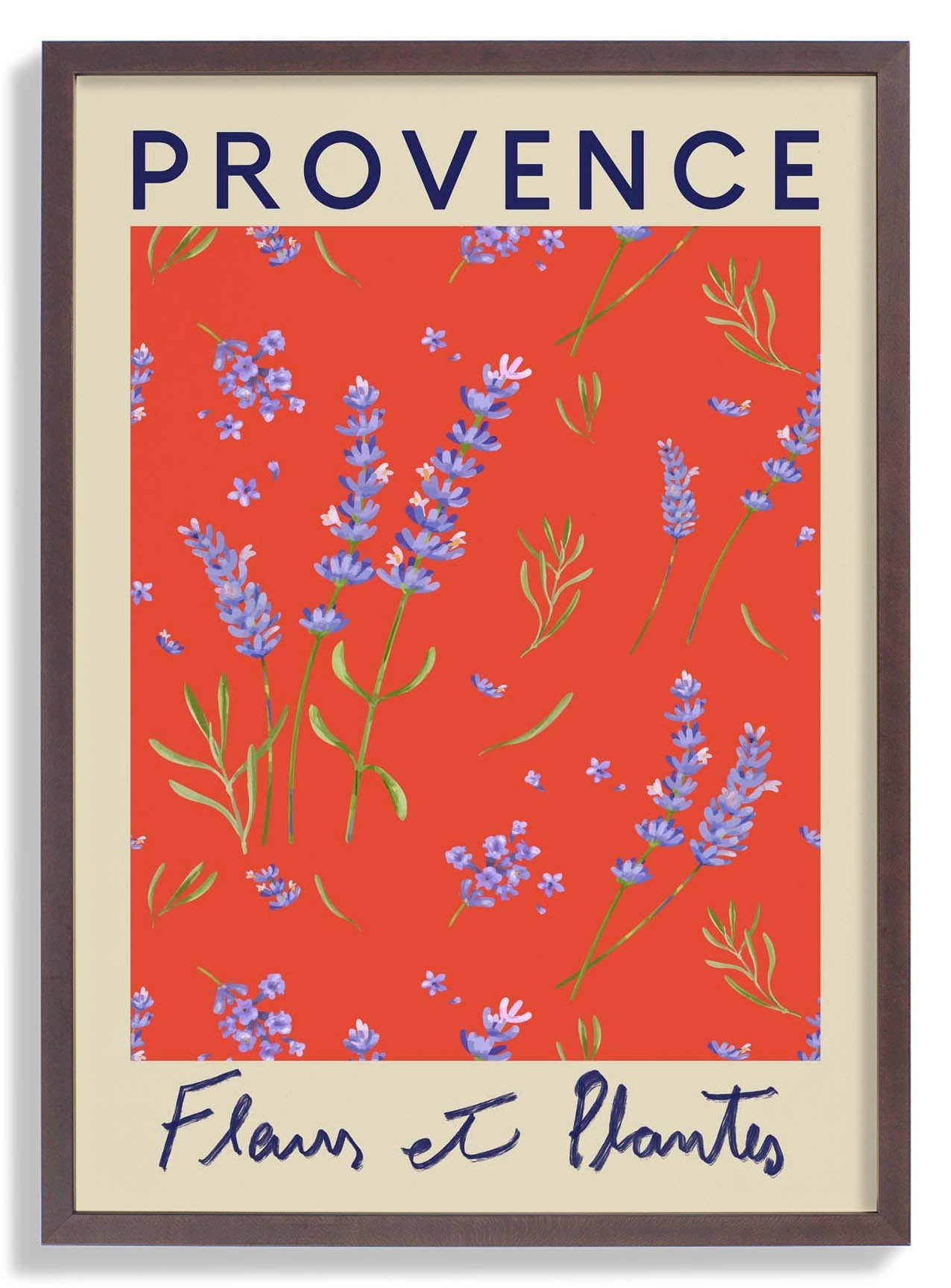 Provence Flower Market