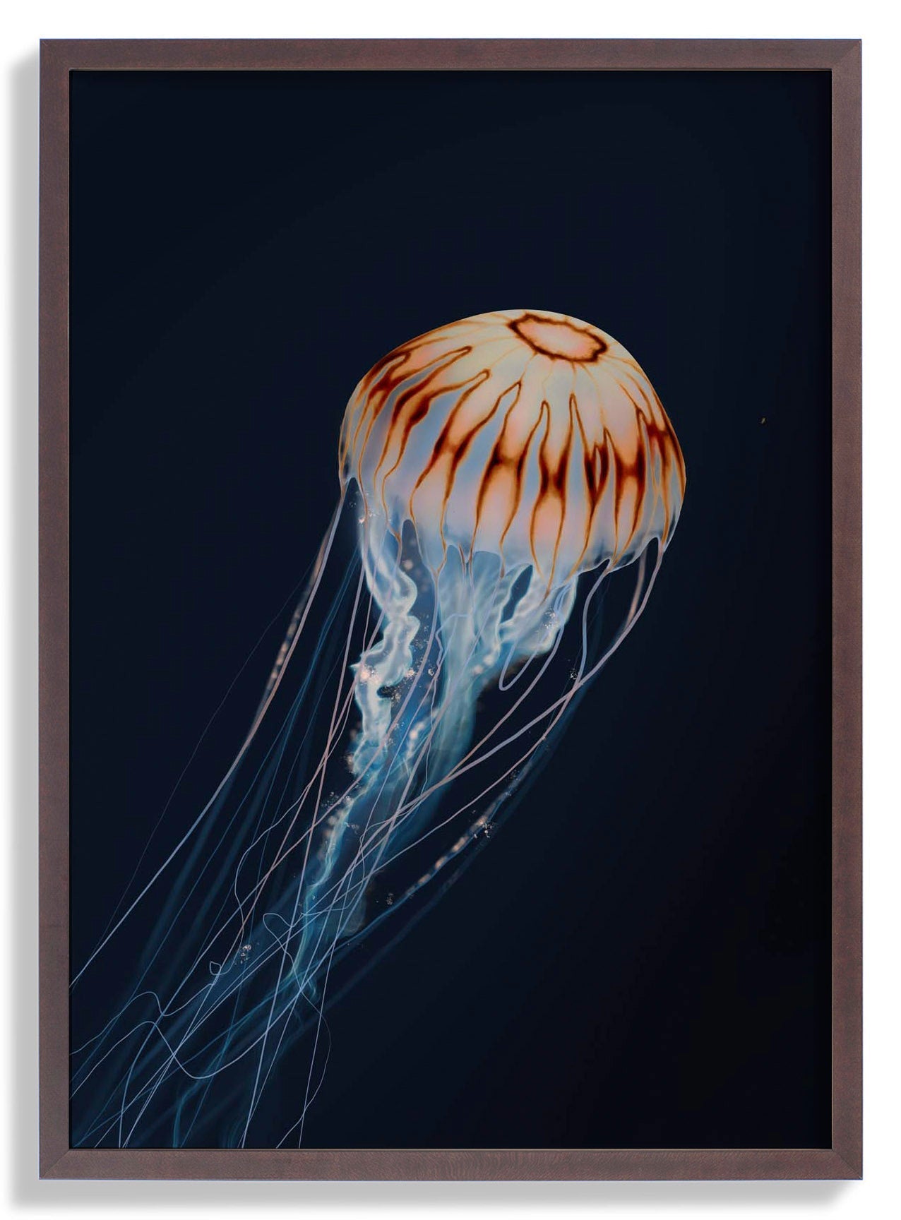 Sparkling Horizon Jellyfish by Julia Charlott