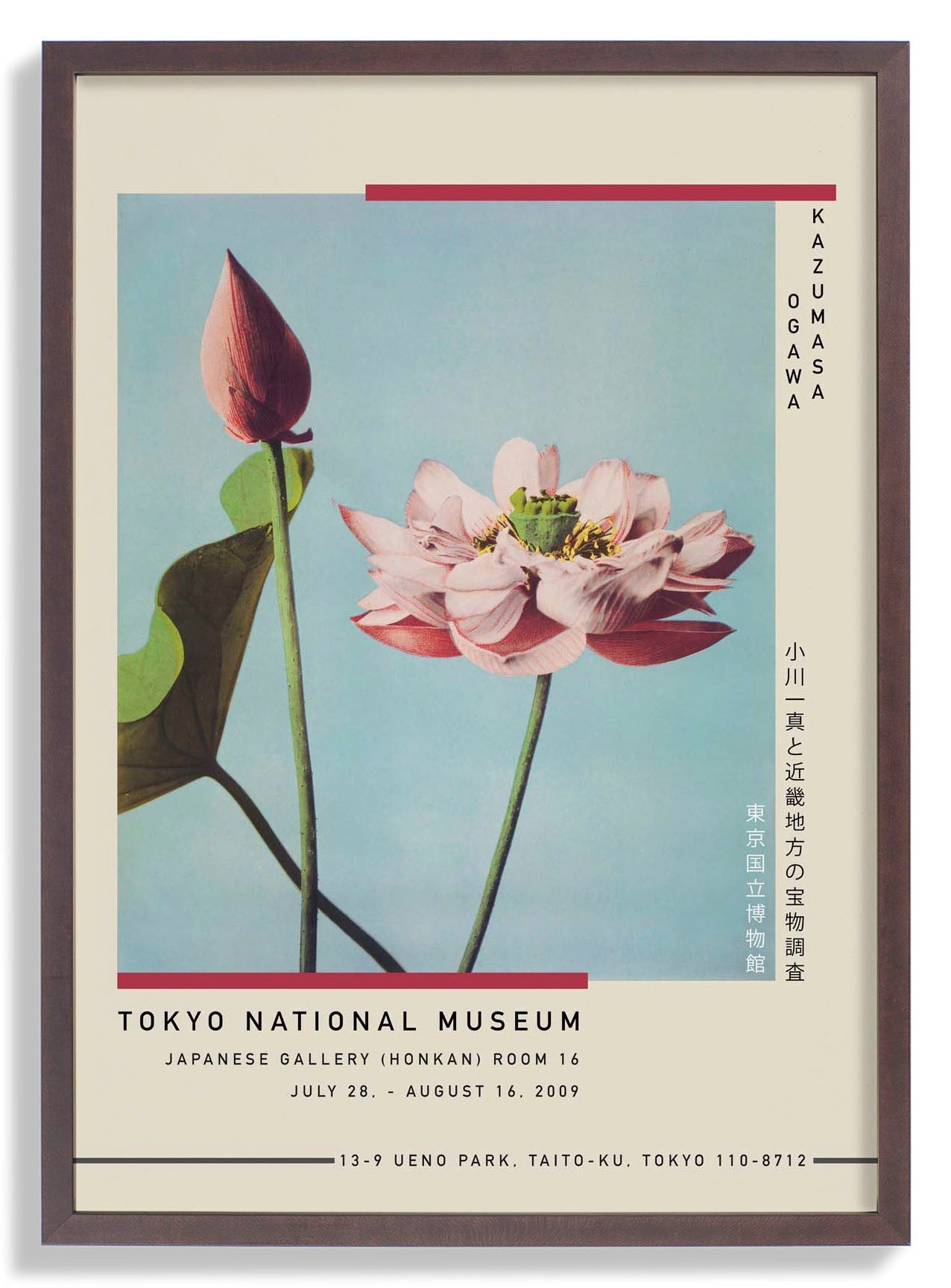 Lotus Flower by Kazumasa Exhibition