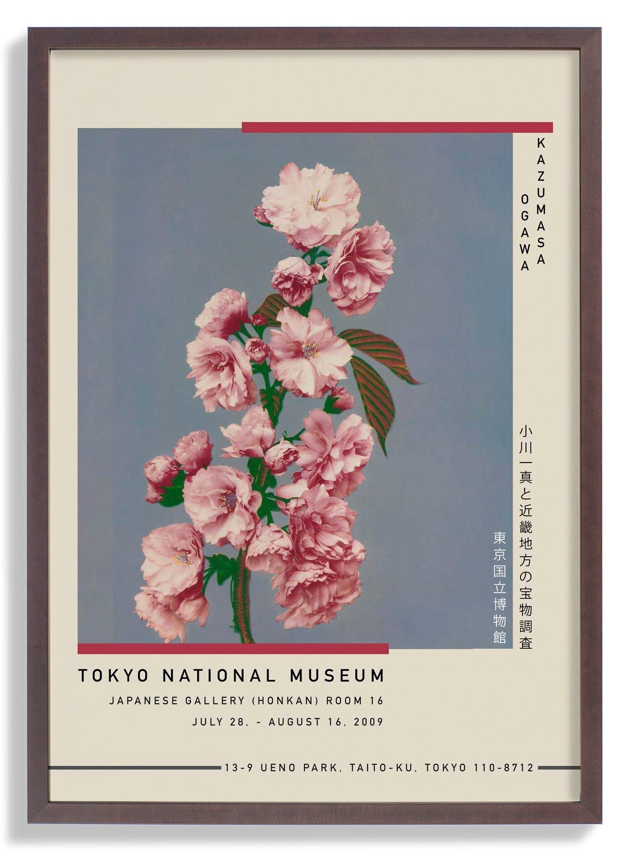 Cherry Blossom by Kazumasa Exhibition