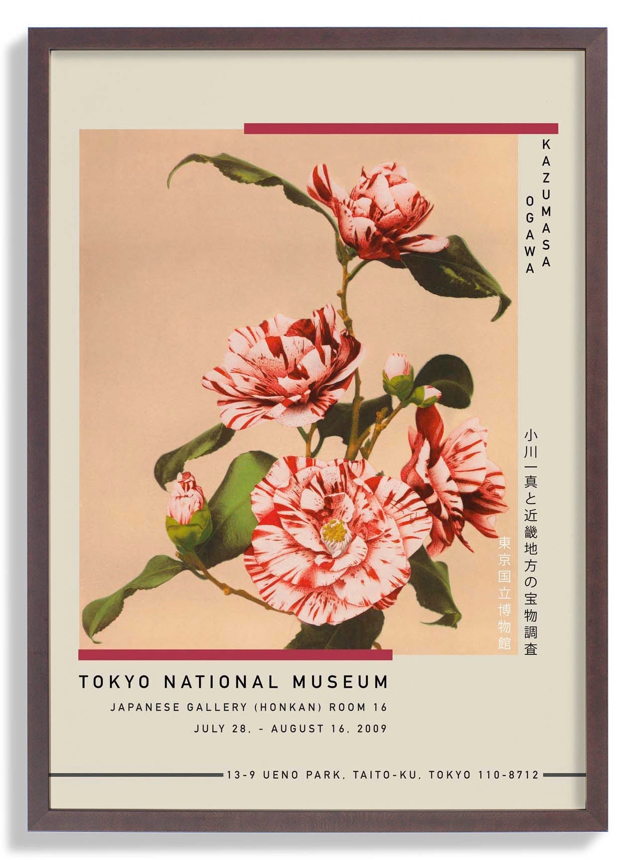 Striped Camellias by Kazumasa Exhibition