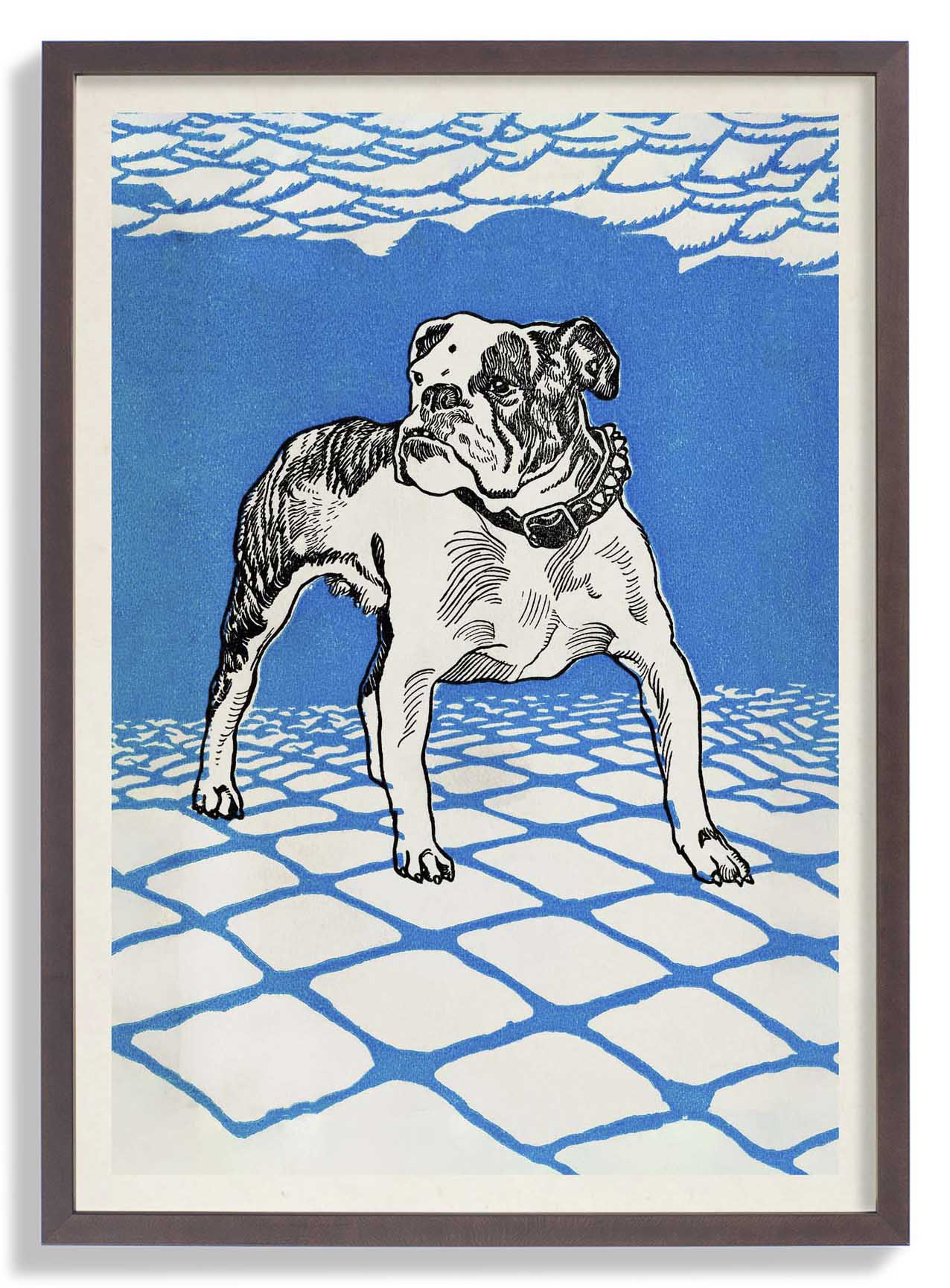 Bulldog by Moritz Jung