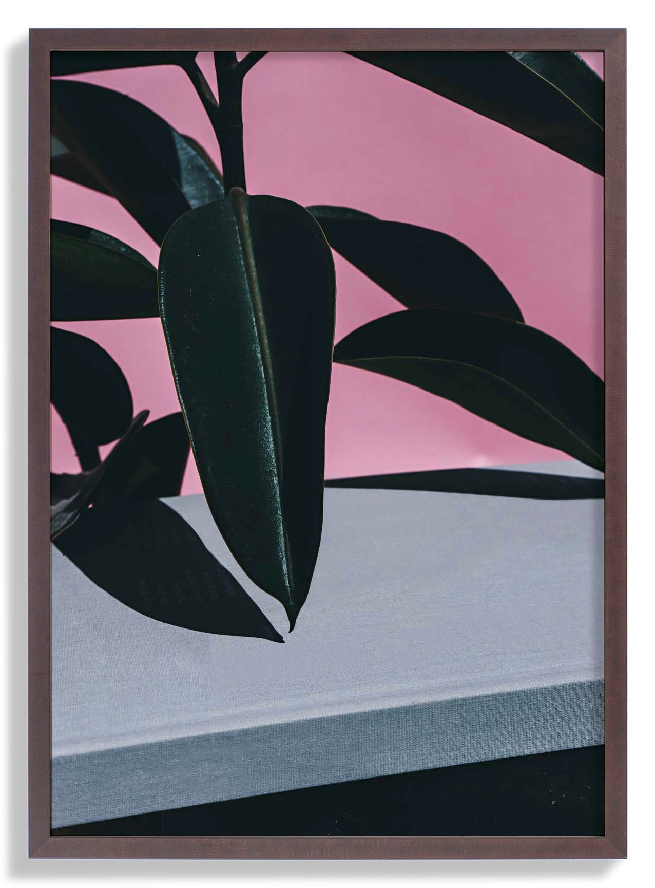 Close Up of Indoor Rubber