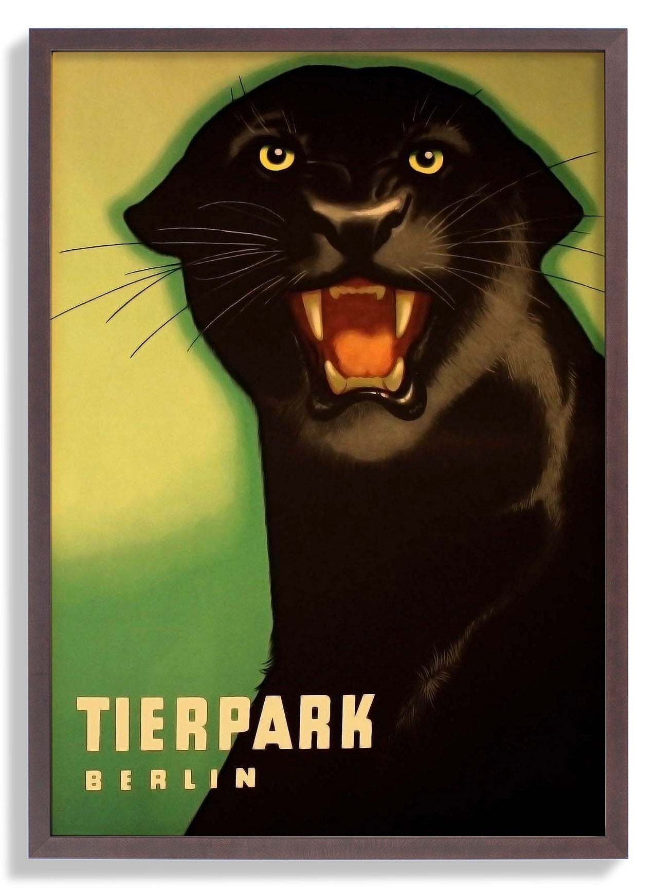 Zoo Tierpark Berlin Panther