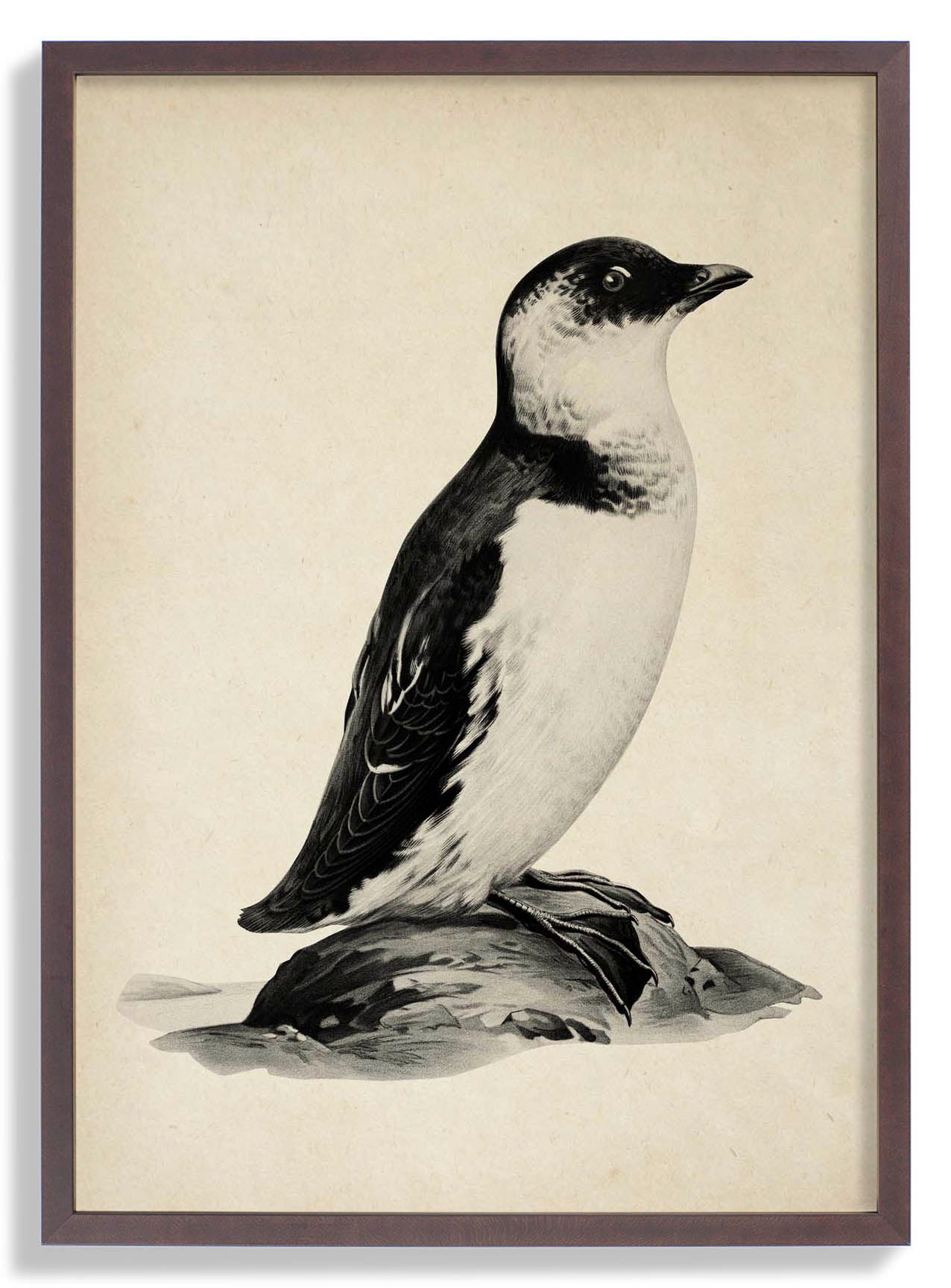 Antique Penguin